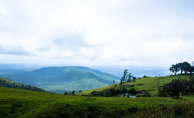 但引援動作 但引援動作