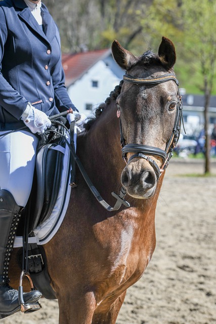 之神助攻 之神助攻