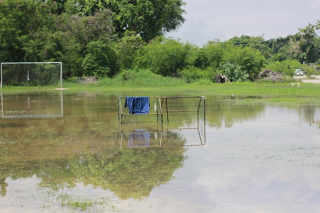 多地在春节 多地在春节