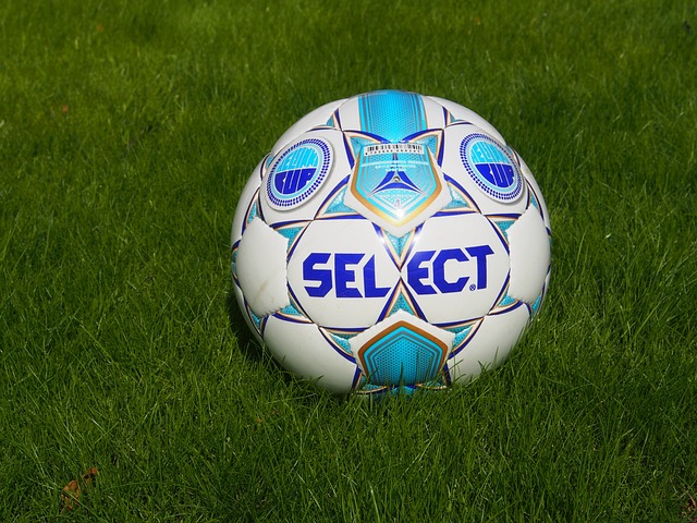 许多专家认 许多专家认