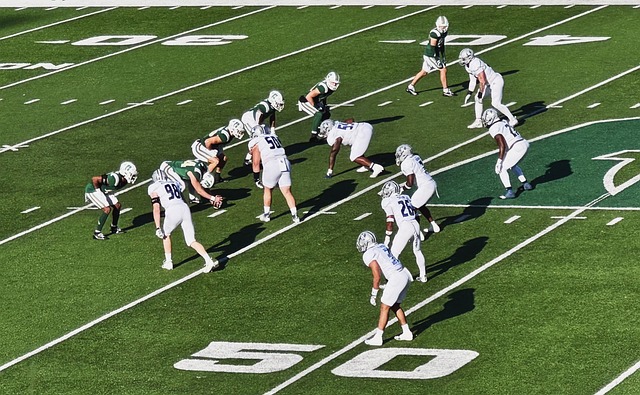 了一些移民 了一些移民