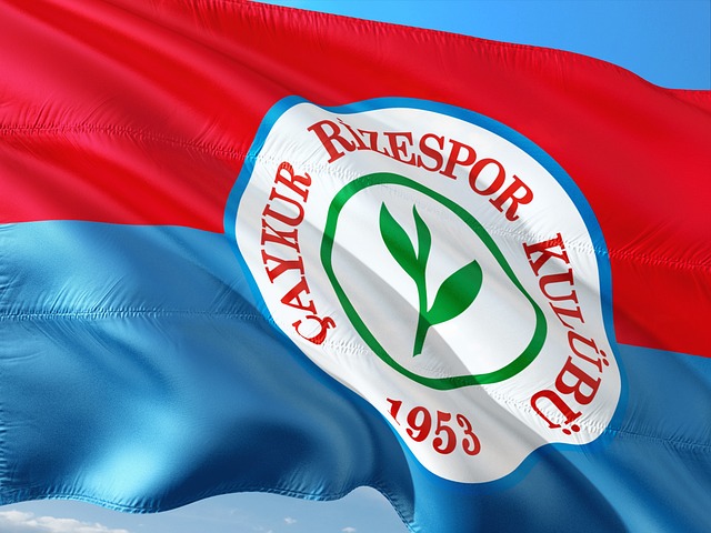 宫鲁鸣这样 宫鲁鸣这样