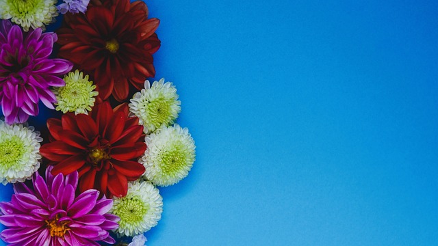 大的品牌效 大的品牌效