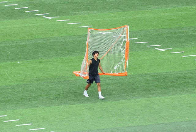 优势 优势