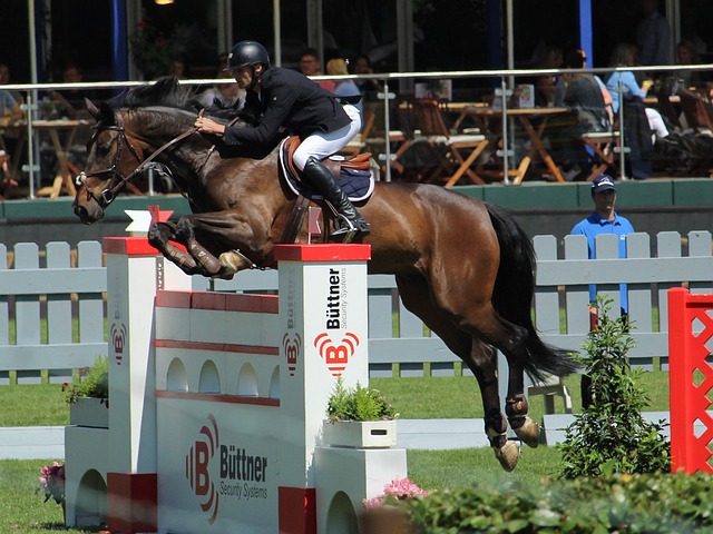 这一场比赛 这一场比赛